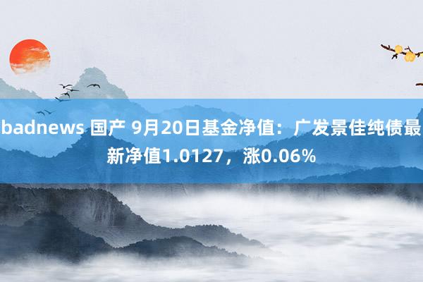 badnews 国产 9月20日基金净值：广发景佳纯债最新净值1.0127，涨0.06%