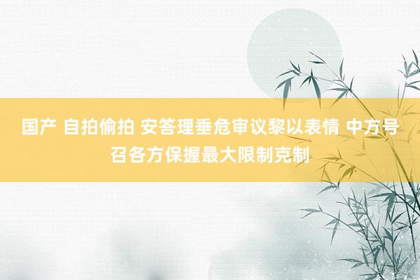 国产 自拍偷拍 安答理垂危审议黎以表情 中方号召各方保握最大限制克制