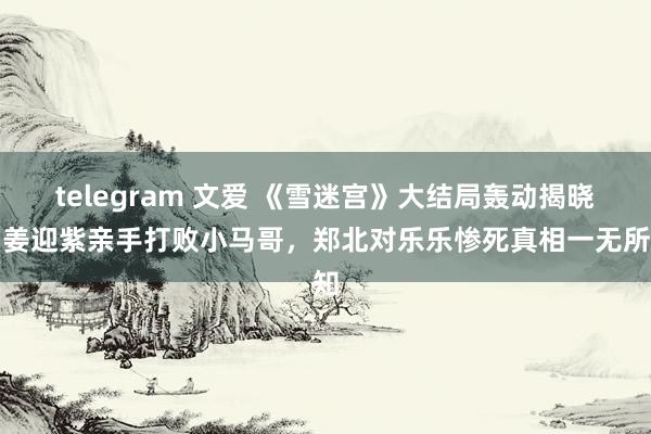 telegram 文爱 《雪迷宫》大结局轰动揭晓:姜迎紫亲手打败小马哥,郑北对乐乐惨死真相一无所知