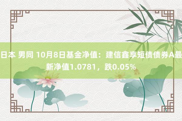 日本 男同 10月8日基金净值：建信鑫享短债债券A最新净值1.0781，跌0.05%