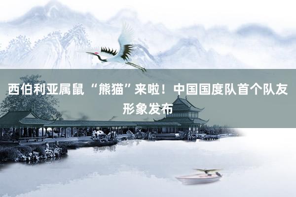 西伯利亚属鼠 “熊猫”来啦！中国国度队首个队友形象发布