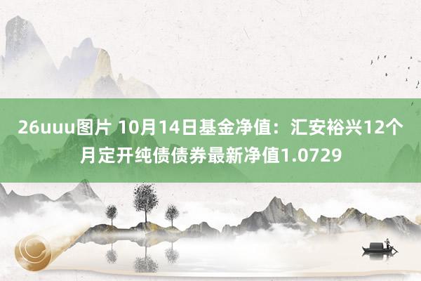26uuu图片 10月14日基金净值：汇安裕兴12个月定开纯债债券最新净值1.0729