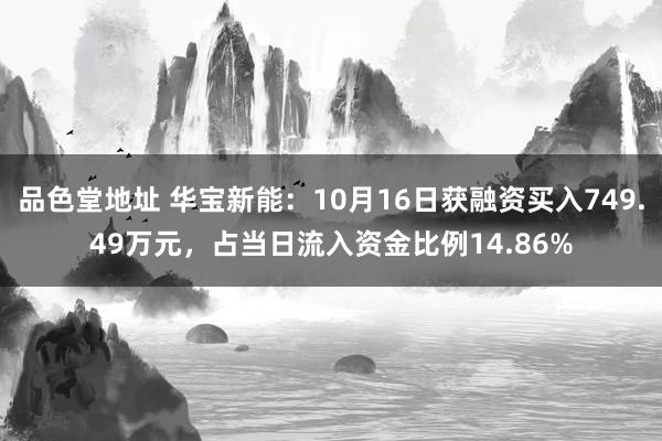 品色堂地址 华宝新能：10月16日获融资买入749.49万元，占当日流入资金比例14.86%
