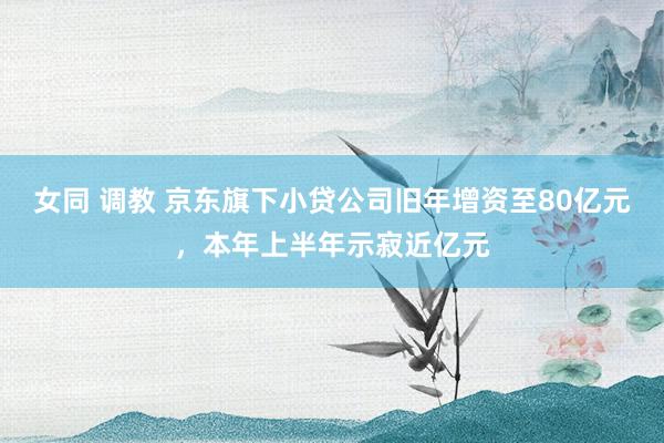 女同 调教 京东旗下小贷公司旧年增资至80亿元，本年上半年示寂近亿元