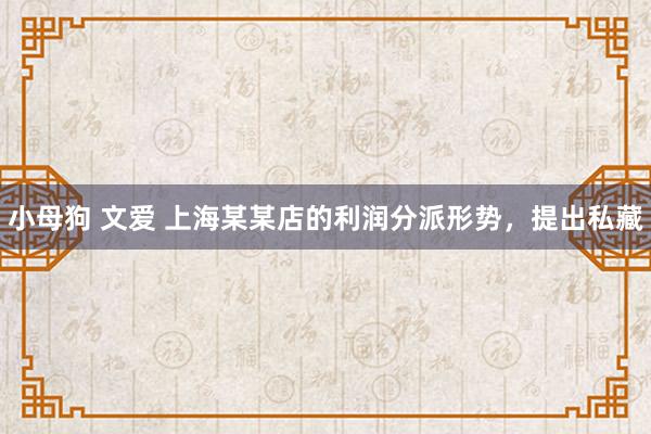 小母狗 文爱 上海某某店的利润分派形势，提出私藏