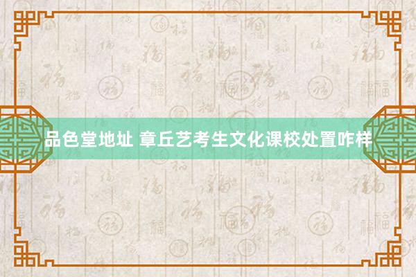 品色堂地址 章丘艺考生文化课校处置咋样