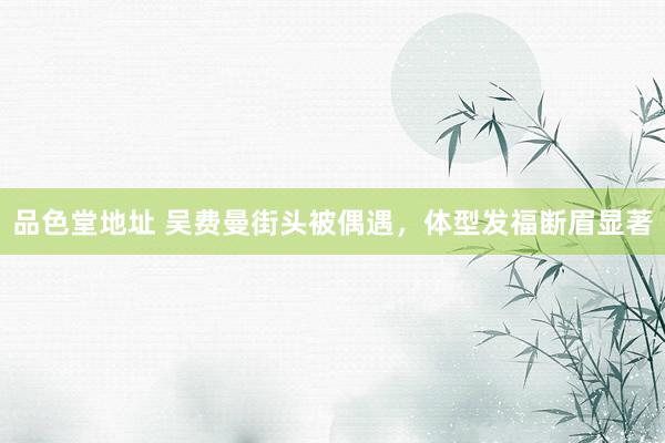 品色堂地址 吴费曼街头被偶遇，体型发福断眉显著