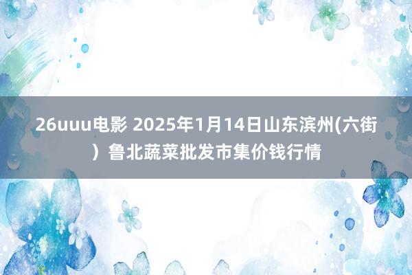 26uuu电影 2025年1月14日山东滨州(六街）鲁北蔬菜批发市集价钱行情