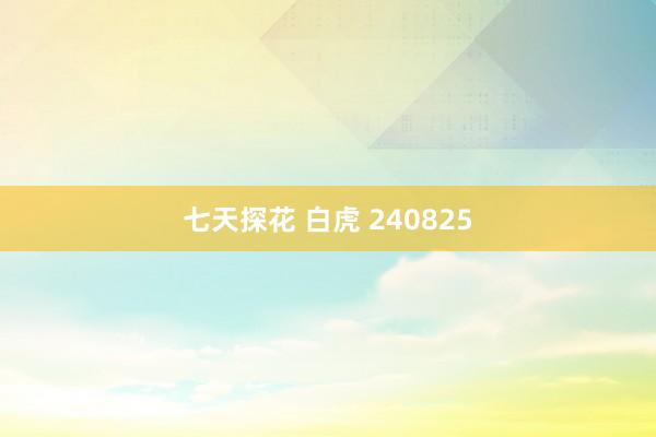 七天探花 白虎 240825