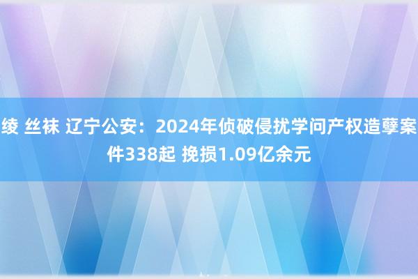 绫 丝袜 辽宁公安：2024年侦破侵扰学问产权造孽案件338起 挽损1.09亿余元
