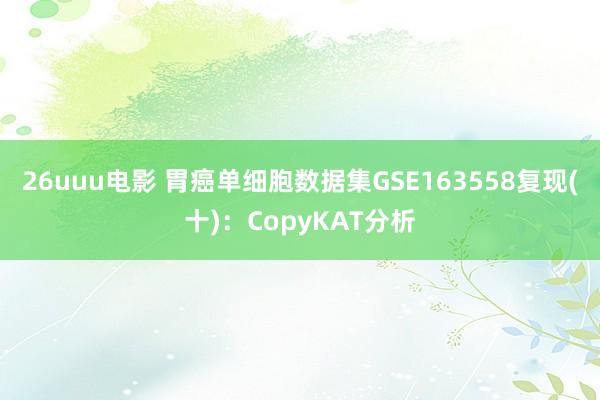 26uuu电影 胃癌单细胞数据集GSE163558复现(十)：CopyKAT分析
