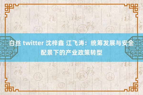 白丝 twitter 沈梓鑫 江飞涛：统筹发展与安全配景下的产业政策转型