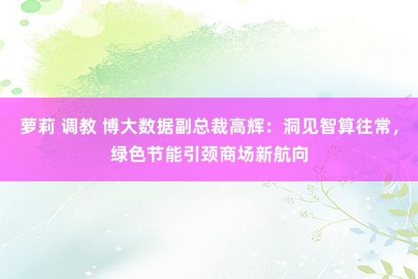 萝莉 调教 博大数据副总裁高辉：洞见智算往常，绿色节能引颈商场新航向
