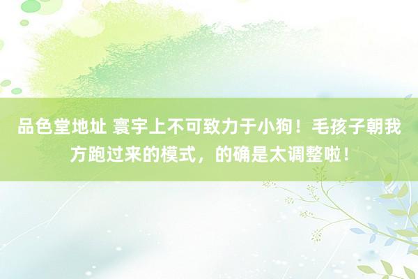 品色堂地址 寰宇上不可致力于小狗！毛孩子朝我方跑过来的模式，的确是太调整啦！