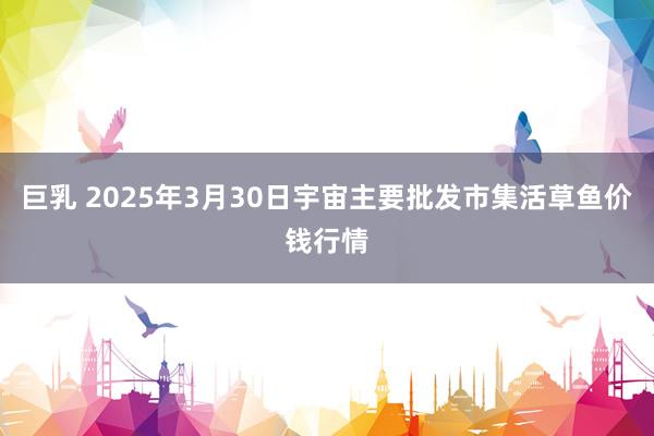 巨乳 2025年3月30日宇宙主要批发市集活草鱼价钱行情