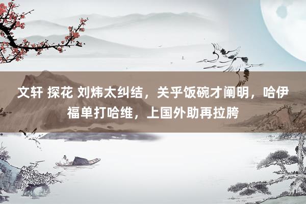 文轩 探花 刘炜太纠结，关乎饭碗才阐明，哈伊福单打哈维，上国外助再拉胯