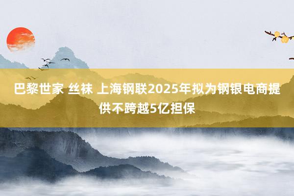 巴黎世家 丝袜 上海钢联2025年拟为钢银电商提供不跨越5亿担保