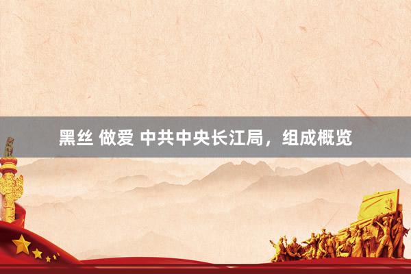 黑丝 做爱 中共中央长江局，组成概览