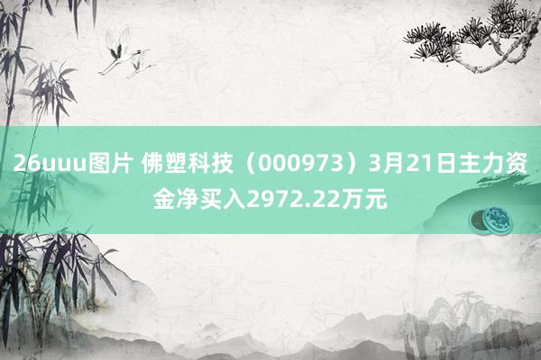26uuu图片 佛塑科技（000973）3月21日主力资金净买入2972.22万元
