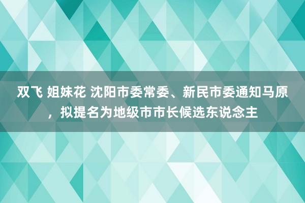 双飞 姐妹花 沈阳市委常委、新民市委通知马原，拟提名为地级市市长候选东说念主