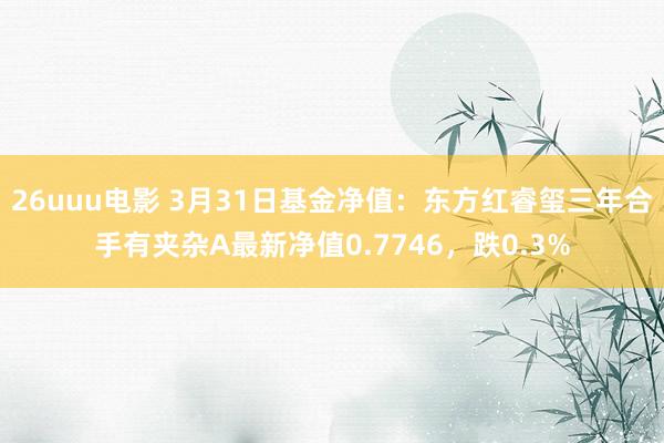 26uuu电影 3月31日基金净值：东方红睿玺三年合手有夹杂A最新净值0.7746，跌0.3%