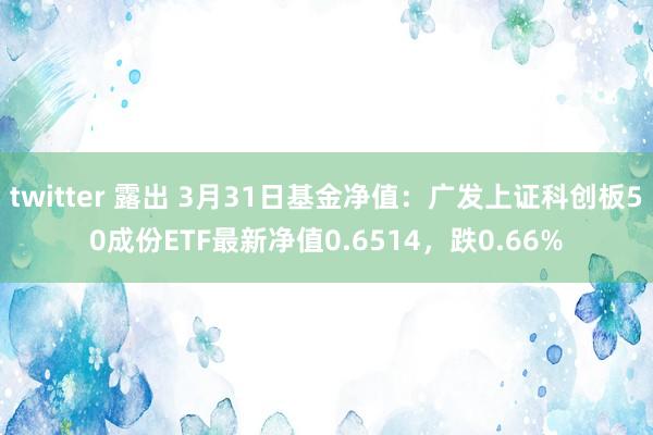 twitter 露出 3月31日基金净值：广发上证科创板50成份ETF最新净值0.6514，跌0.66%