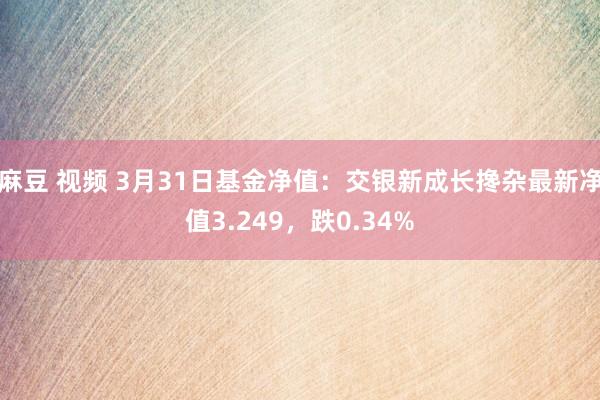 麻豆 视频 3月31日基金净值：交银新成长搀杂最新净值3.249，跌0.34%