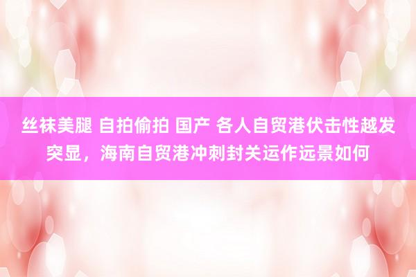 丝袜美腿 自拍偷拍 国产 各人自贸港伏击性越发突显，海南自贸港冲刺封关运作远景如何