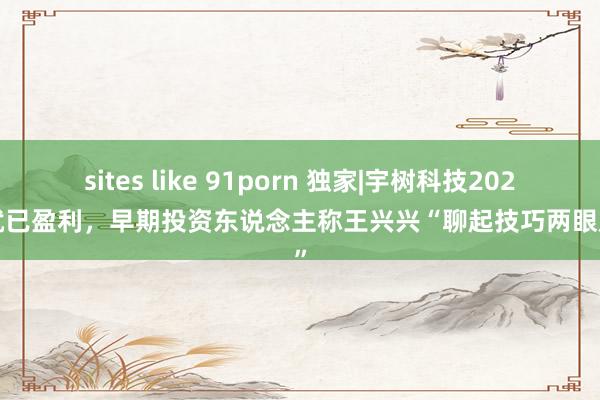 sites like 91porn 独家|宇树科技2020年就已盈利，早期投资东说念主称王兴兴“聊起技巧两眼放光”