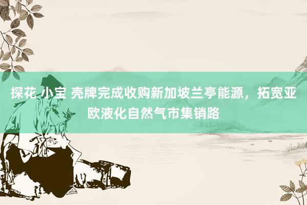 探花 小宝 壳牌完成收购新加坡兰亭能源，拓宽亚欧液化自然气市集销路