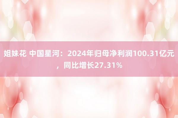 姐妹花 中国星河：2024年归母净利润100.31亿元，同比增长27.31%