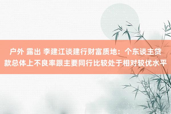 户外 露出 李建江谈建行财富质地：个东谈主贷款总体上不良率跟主要同行比较处于相对较优水平