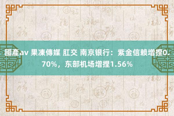 國產av 果凍傳媒 肛交 南京银行：紫金信赖增捏0.70%，东部机场增捏1.56%