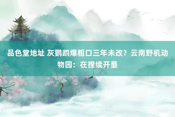 品色堂地址 灰鹦鹉爆粗口三年未改？云南野机动物园：在捏续开垦